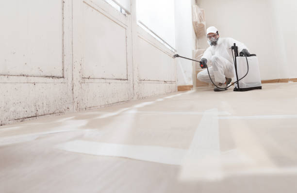 24/7 Emergency Mold Cleanup experts in Alexandria, VA