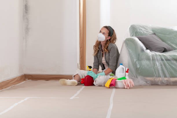 Reliable Mold Cleanup contractor in Alexandria, VA by Cheap Mold Removal